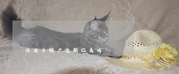 信用卡销户逾期记录吗 信用卡销户逾期记录吗