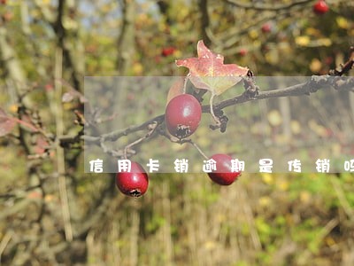信用卡销逾期是传销吗
