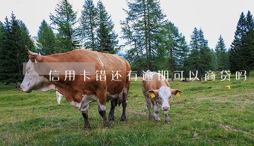 信用卡错还有逾期可以商贷吗 信用卡错还有逾期可以商贷吗