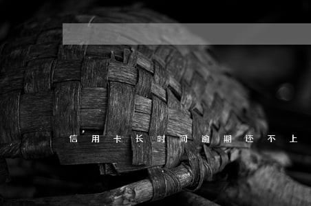信用卡长时间逾期还不上怎么办 信用卡长时间逾期还不上怎么办