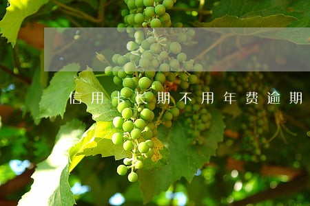 信用卡长期不用年费逾期 信用卡长期不用年费逾期