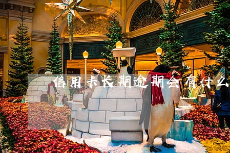 信用卡长期逾期会有什么影响 信用卡长期逾期会有什么影响