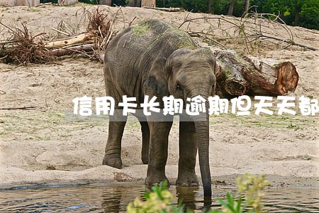 信用卡长期逾期但天天都还款 信用卡长期逾期但天天都还款