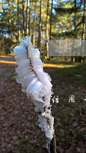 信用卡长期逾期可以坐火车吗 信用卡长期逾期可以坐火车吗