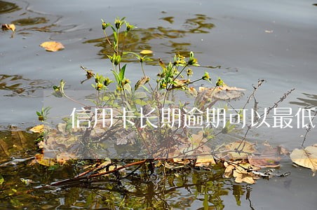 信用卡长期逾期可以最低还款吗 信用卡长期逾期可以最低还款吗