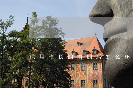 信用卡长期逾期后怎么还款