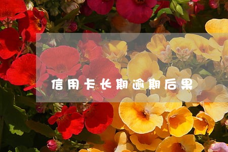 信用卡长期逾期后果 信用卡长期逾期后果