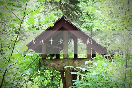 信用卡长期逾期怎么养 信用卡长期逾期怎么养