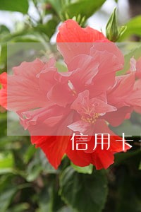 信用卡长期逾期怎么补救