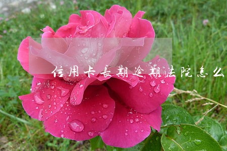 信用卡长期逾期法院怎么不管 信用卡长期逾期法院怎么不管