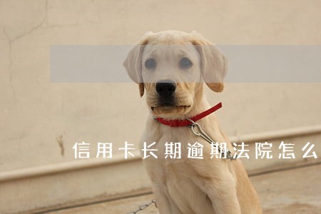 信用卡长期逾期法院怎么判处 信用卡长期逾期法院怎么判处