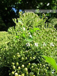 信用卡长期逾期被冻结解冻后 信用卡长期逾期被冻结解冻后