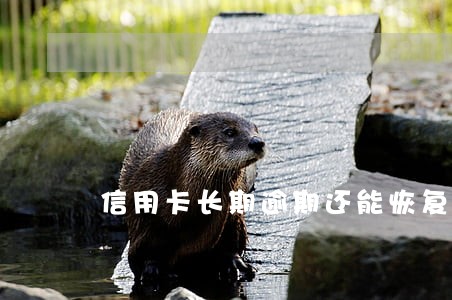 信用卡长期逾期还能恢复吗 信用卡长期逾期还能恢复吗