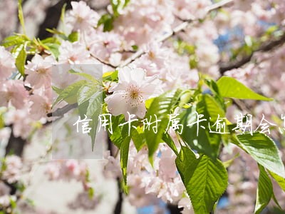 信用卡附属卡逾期会怎么样 信用卡附属卡逾期会怎么样