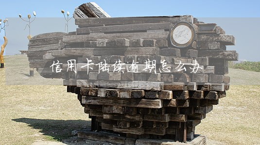 信用卡陆续逾期怎么办 信用卡陆续逾期怎么办