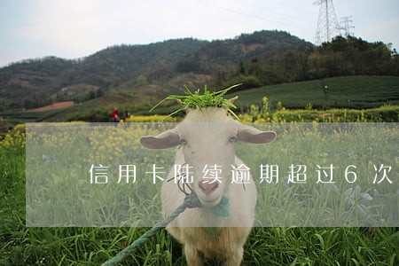 信用卡陆续逾期超过6次 信用卡陆续逾期超过6次