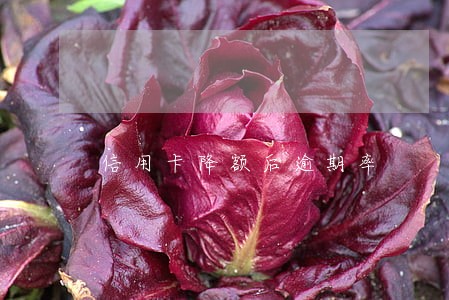 信用卡降额后逾期率 信用卡降额后逾期率
