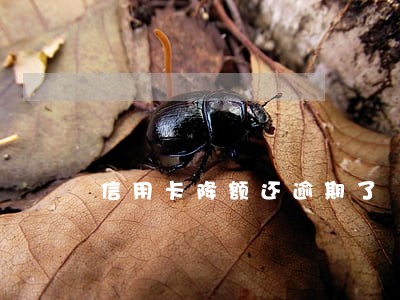 信用卡降额还逾期了