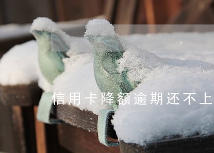 信用卡降额逾期还不上怎么办 信用卡降额逾期还不上怎么办