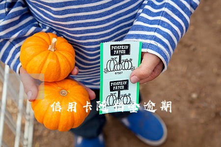 信用卡随借金逾期