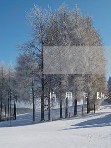 信用卡随借金逾期一天 信用卡随借金逾期一天
