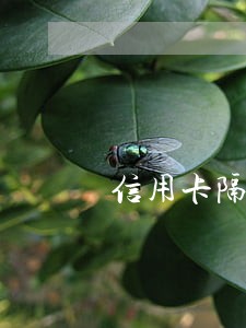 信用卡隔了一天才还是逾期吗 信用卡隔了一天才还是逾期吗