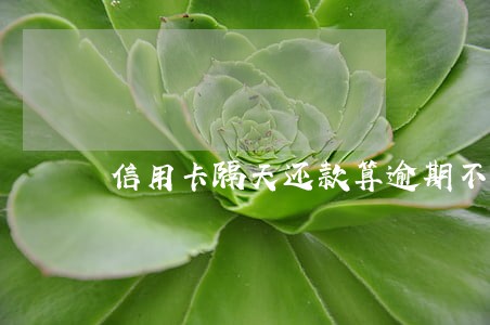 信用卡隔天还款算逾期不