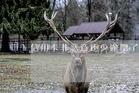 信用卡非恶意还少逾期了 信用卡非恶意还少逾期了