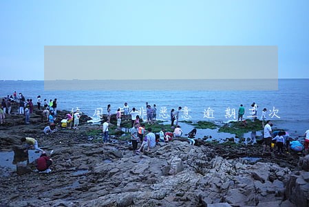 信用卡非恶意逾期三次 信用卡非恶意逾期三次