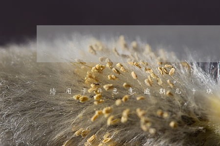 信用卡非恶意逾期几十块钱 信用卡非恶意逾期几十块钱