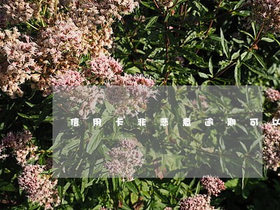 信用卡非恶意逾期可以修复吗 信用卡非恶意逾期可以修复吗