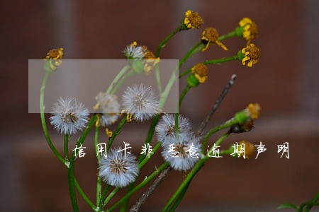 信用卡非恶意逾期声明 信用卡非恶意逾期声明