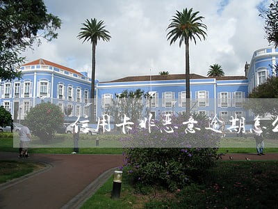 信用卡非恶意逾期怎么办 信用卡非恶意逾期怎么办