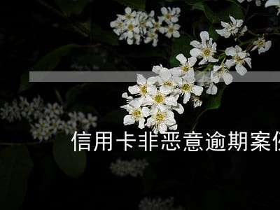 信用卡非恶意逾期案例