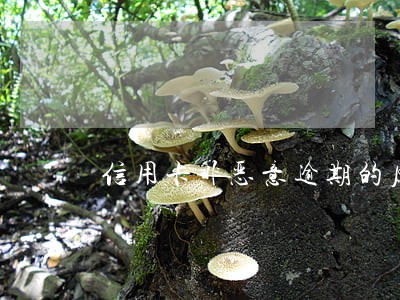 信用卡非恶意逾期的原因