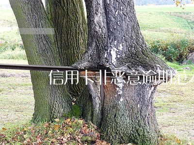 信用卡非恶意逾期范本 信用卡非恶意逾期范本