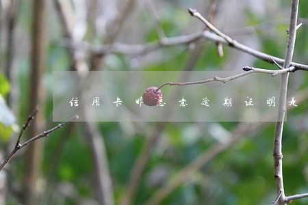 信用卡非恶意逾期证明是谁开 信用卡非恶意逾期证明是谁开