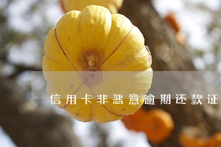 信用卡非恶意逾期还款证明模板