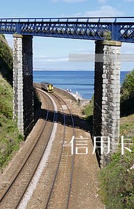信用卡非本人使用逾期未还谁担责
