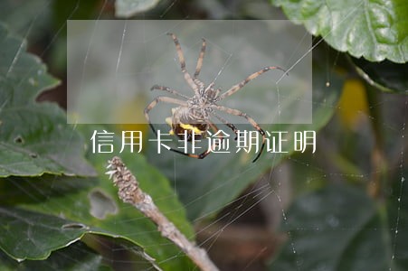 信用卡非逾期证明 信用卡非逾期证明