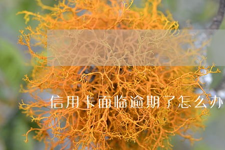 信用卡面临逾期了怎么办 信用卡面临逾期了怎么办