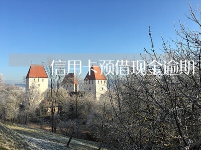 信用卡预借现金逾期了会怎样 信用卡预借现金逾期了会怎样