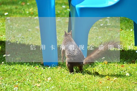 信用卡预借现金逾期影响房贷吗 信用卡预借现金逾期影响房贷吗