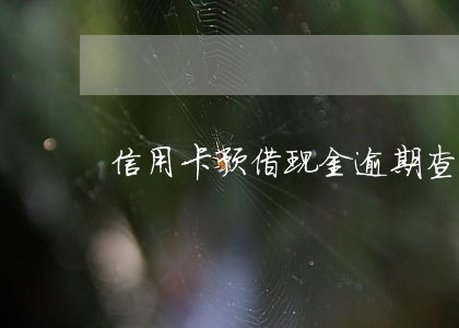 信用卡预借现金逾期查资金去向