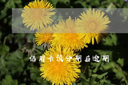 信用卡预分期后逾期 信用卡预分期后逾期