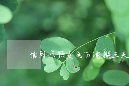 信用卡预支两万逾期三天多少钱 信用卡预支两万逾期三天多少钱