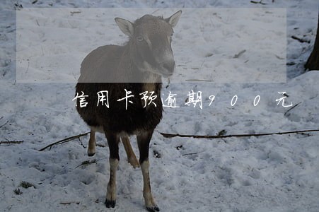 信用卡预逾期900元 信用卡预逾期900元