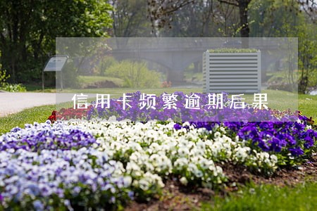 信用卡频繁逾期后果 信用卡频繁逾期后果