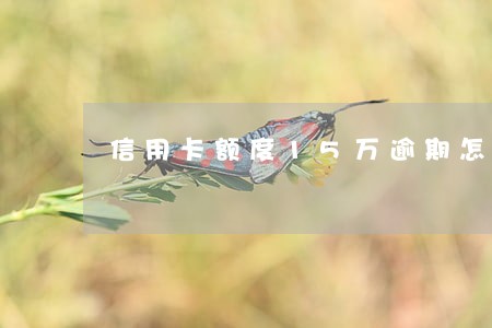 信用卡额度15万逾期怎么办
