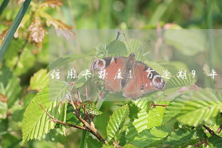 信用卡额度1万逾期9年 信用卡额度1万逾期9年